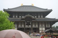 IMG_1011.JPG